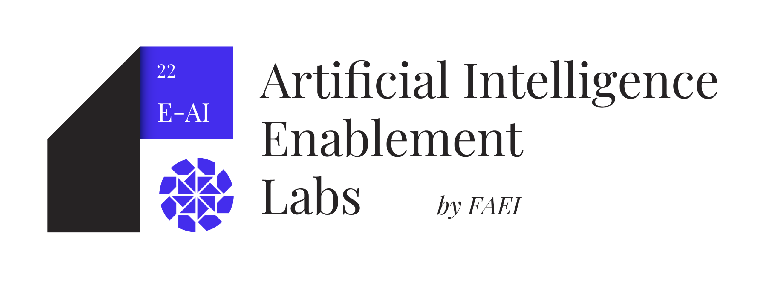 AI Enablement Labs