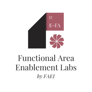 Functional area-8