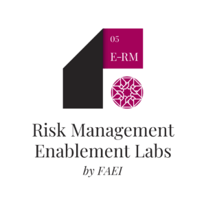 Risk-8